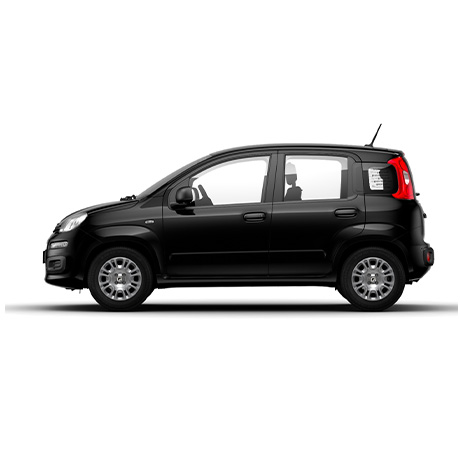 nlt Fiat Panda