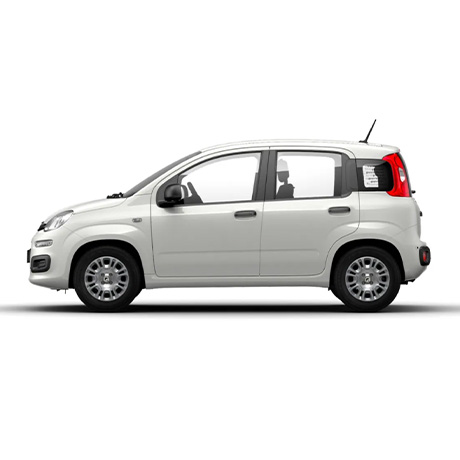 nlt Fiat Pandina