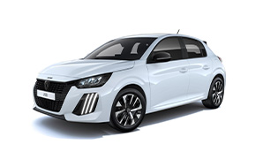 208 Hybrid 110 e-DCS6 Style