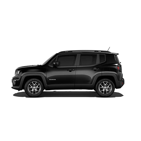 nlt Jeep Renegade