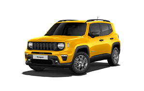 nlt Jeep Renegade