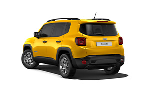 nlt Jeep Renegade