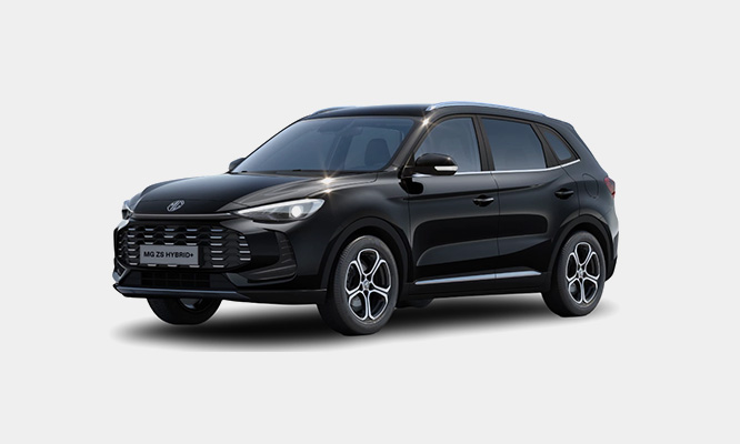 Mg ZS 0