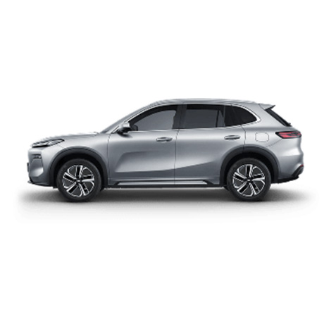 Dimensioni Geely Starray