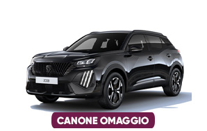 nlt Peugeot 2008
