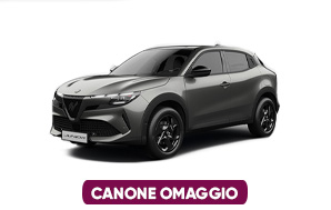 nlt Alfa Romeo Junior