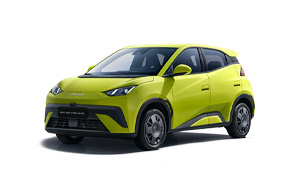 nlt Byd Dolphin Surf