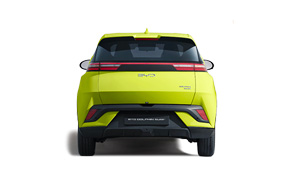 nlt Byd Dolphin Surf