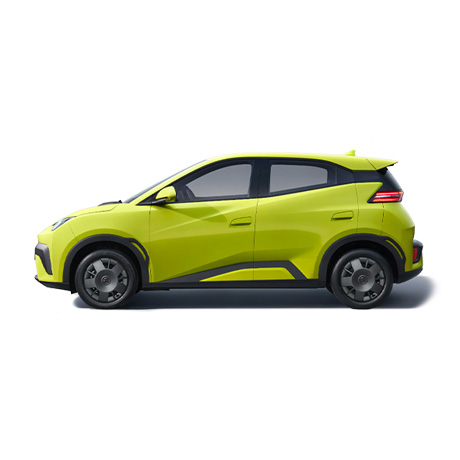 nlt Byd Dolphin Surf