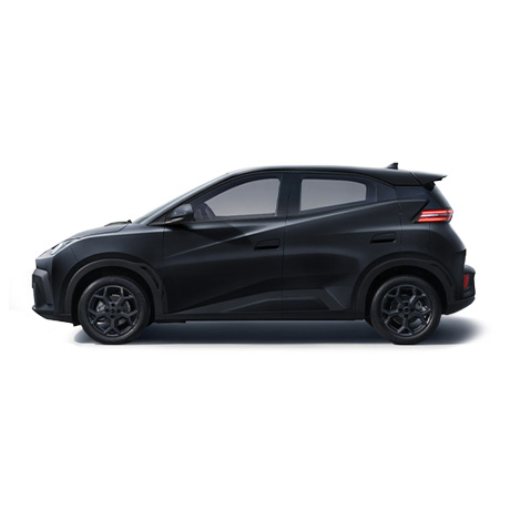 nlt Byd Dolphin Surf