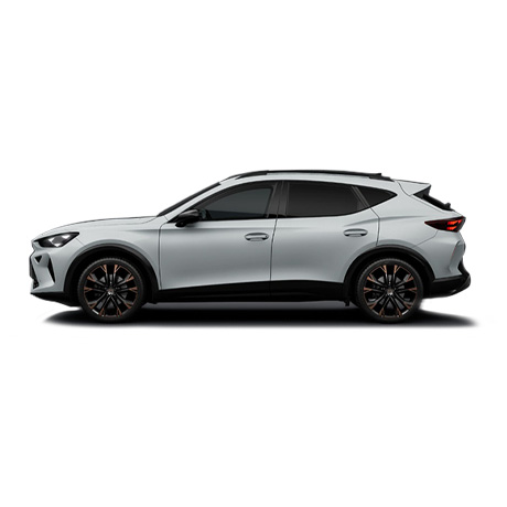 nlt Cupra Formentor