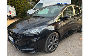usato Ford Fiesta