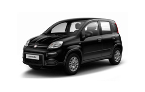 nlt Fiat Panda