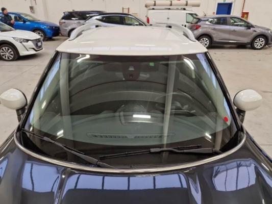 Mini Mini Countryman 9