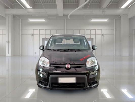Fiat Panda 6