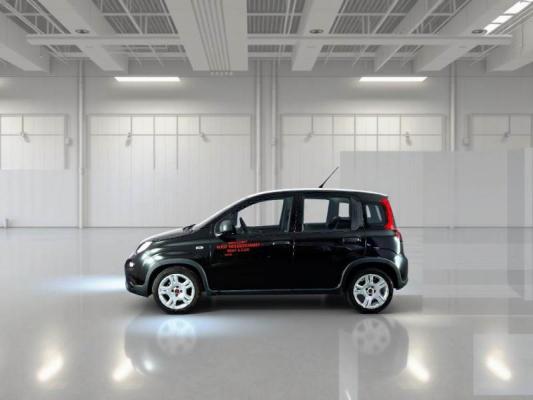 Fiat Panda 8